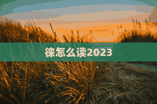 徕怎么读2023(徕怎么读拼音)